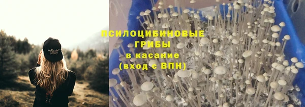 ГАЛЛЮЦИНОГЕННЫЕ ГРИБЫ Волоколамск