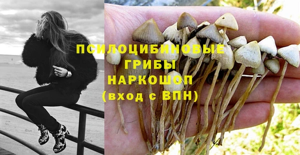 каннабис Володарск