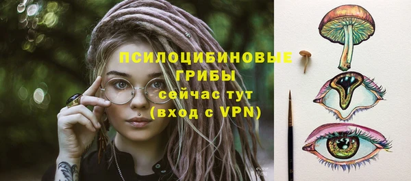ГАЛЛЮЦИНОГЕННЫЕ ГРИБЫ Волоколамск