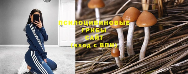 крисы Волосово