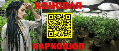 mdpv Севастополь