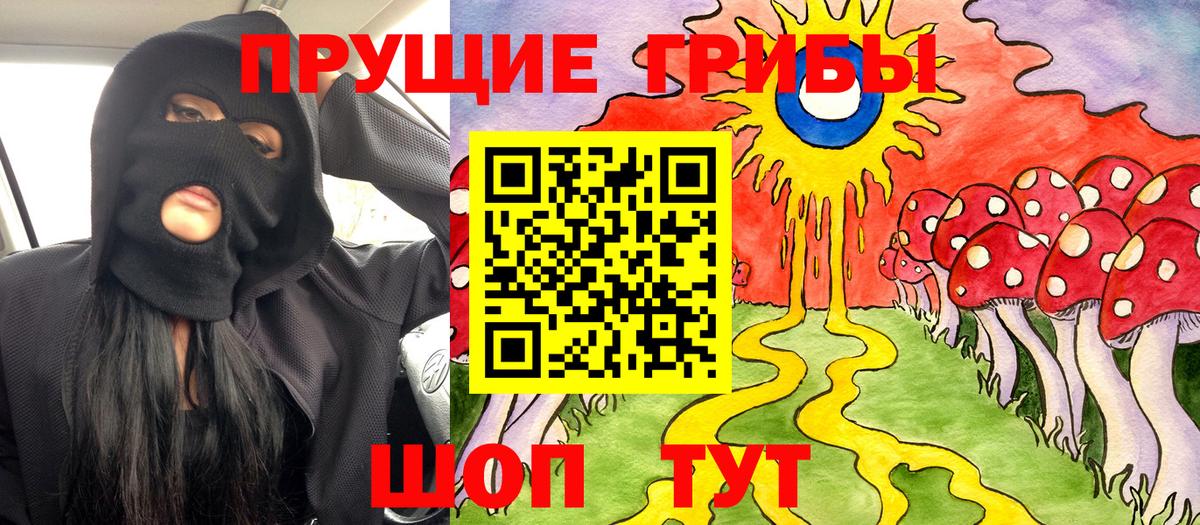 Галлюциногенные грибы мицелий Дальнегорск