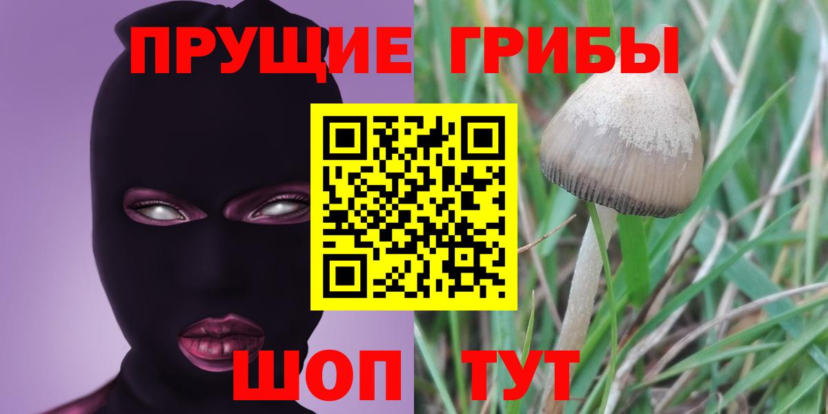 Дальнегорск  Галлюциногенные грибы Magic Shrooms  Вход с VPN 
